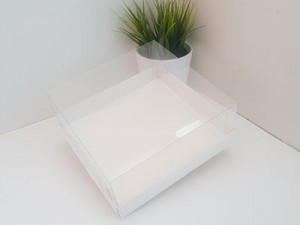 Коробка с куполом 19,5*19,5*8,5 см для торта/пирожных 